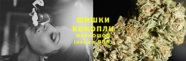 гашик Лабытнанги