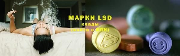 гашик Лабытнанги