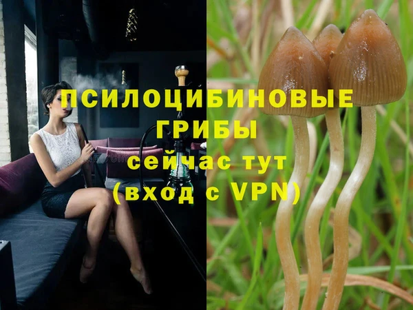 гашик Лабытнанги